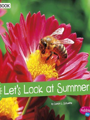 cover image of Let's Look at Summer